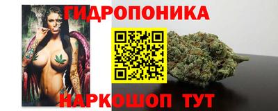 spice Гуково