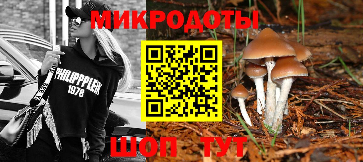 Галлюциногенные грибы прущие грибы Братск