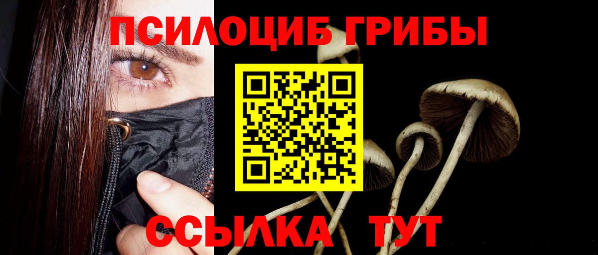 Псилоцибиновые грибы Magic Shrooms  Галлюциногенные грибы Psilocybine cubensis  Братск  Вход с VPN 